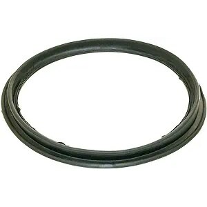 Diaphragm Gasket